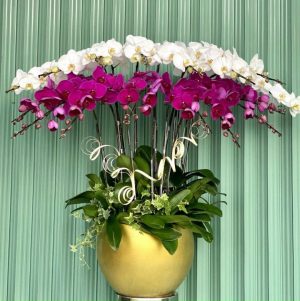 Shop Hoa Tươi Thị trấn Tân Quới, Bình Tân, Vĩnh Long