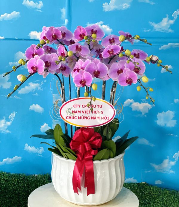 Shop Hoa Tươi Thị trấn Cái Nhum, Mang Thít, Vĩnh Long