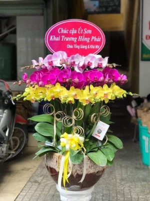 Shop Hoa Tươi Mang Thít, Vĩnh Long